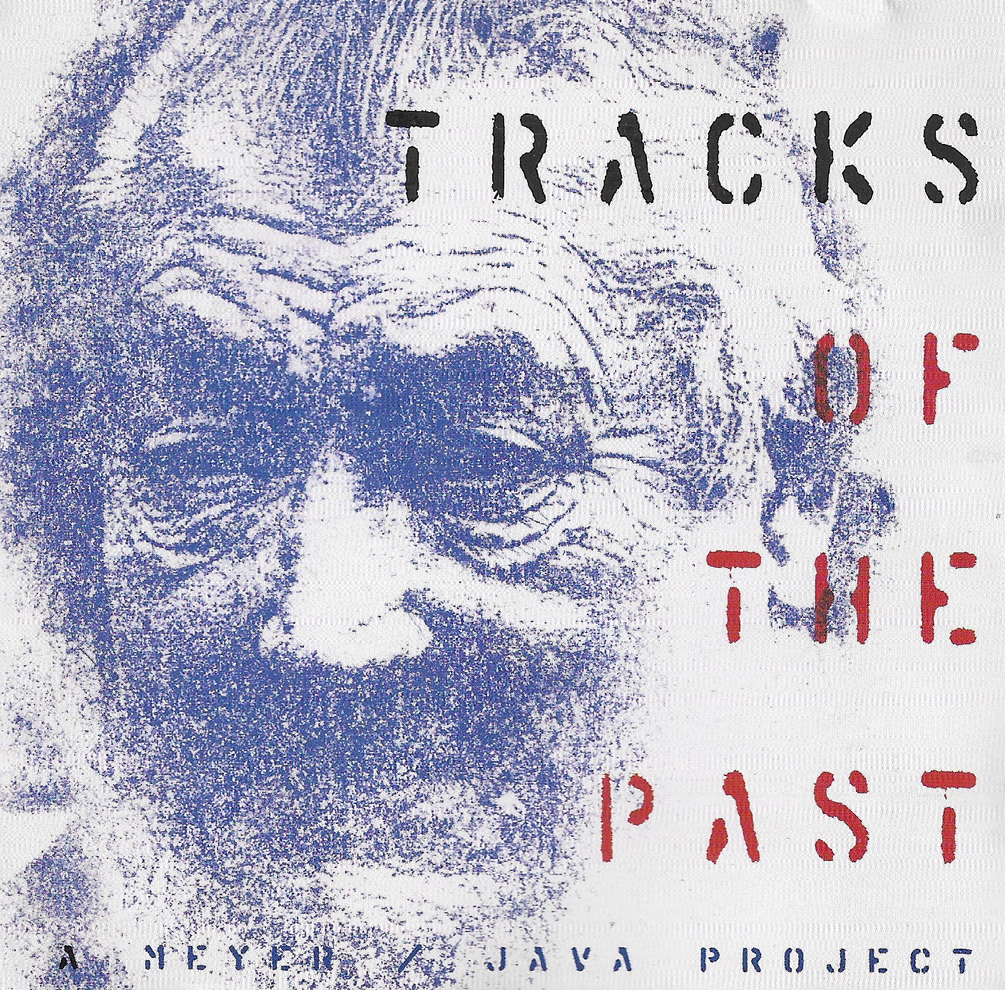 Tracks of the past